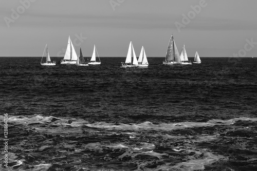 Sailing boats in the wavy sea, black and white