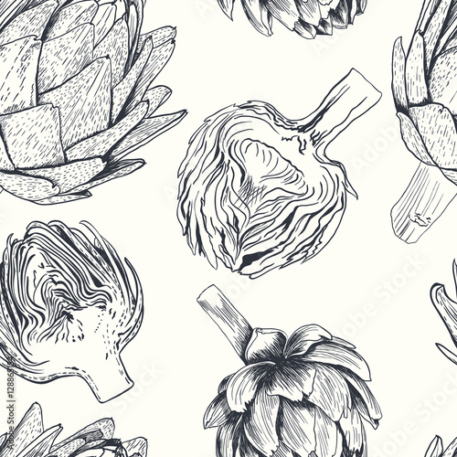 Vector hand drawn artichoke illustration. Food collection