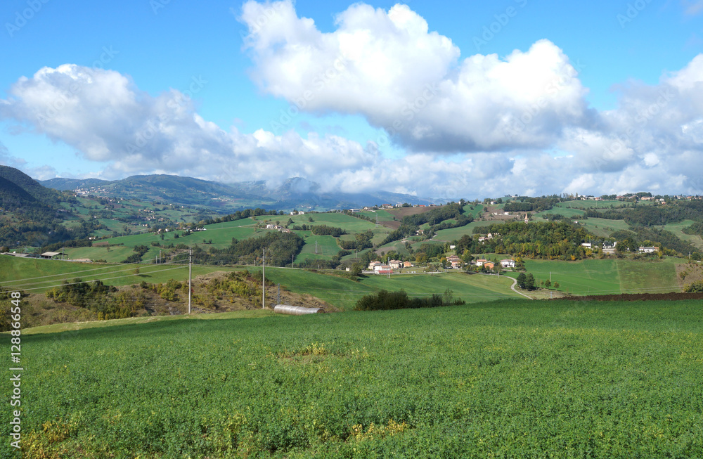 Rural landscape panorama with a meadow , hills on the horizon and  curved path