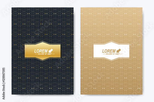 Modern vector template for brochure  Leaflet  flyer  cover  booklet  magazine or annual report. A4 size. Abstract golden presentation book layout. Geometric pattern with connected lines and dots.