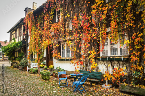 Fototapeta Naklejka Na Ścianę i Meble -  Little street in a german town with a house, overgrown with virginia creeper,    Germany