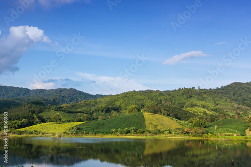 Water and reflects