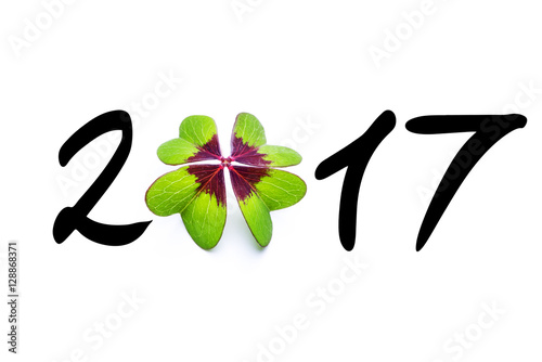 2017 Mit Klee