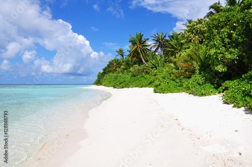 Tropical beach with palm trees, Thinadhoo island, Vaavu Atoll, Maldives