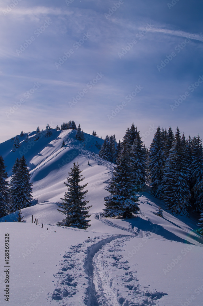 Ski touring track in beautiful sunny winter landscape, Oberstdorf, Germany