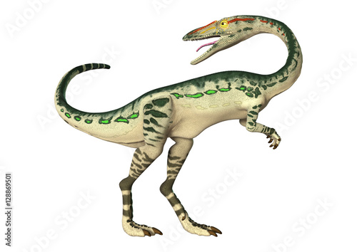 3D Rendering Dinosaur Coelophysis on White