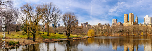 View of New York buildings from Central Park at winter