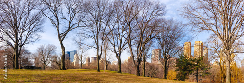 View of New York buildings from Central Park at winter