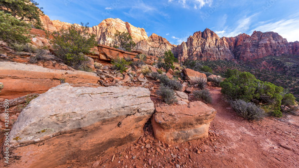 Amazing mountain landscape. Scenic view of the canyon. Zion National Park, Utah, USA