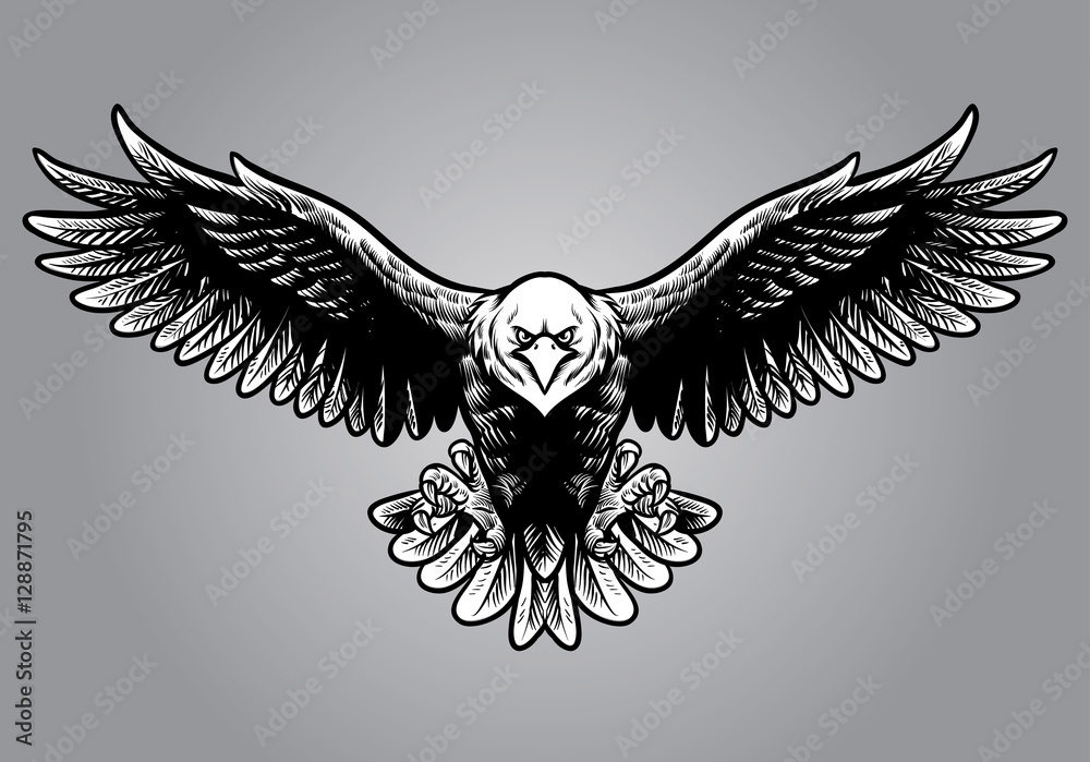 Obraz premium hand drawing style of eagle