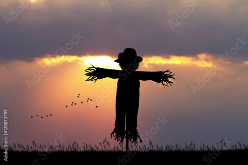 Fototapeta scarecrow at sunset