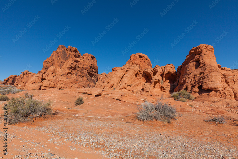 Fototapeta premium Valley of Fire State Park Nevada Scenic Landscape