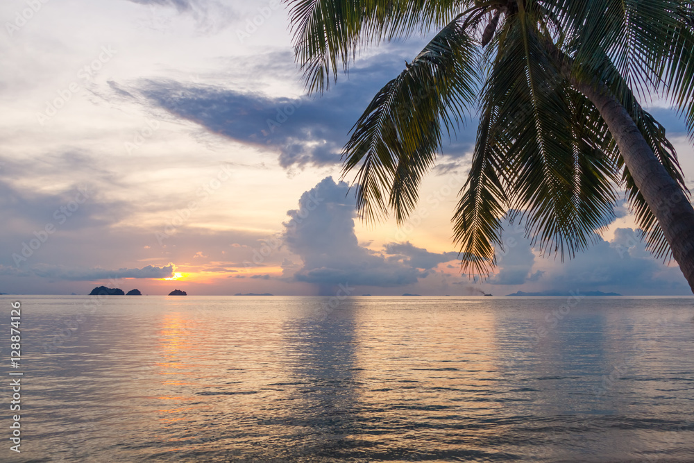 Sunset over the sea, palm leaves and tropical island in the background
