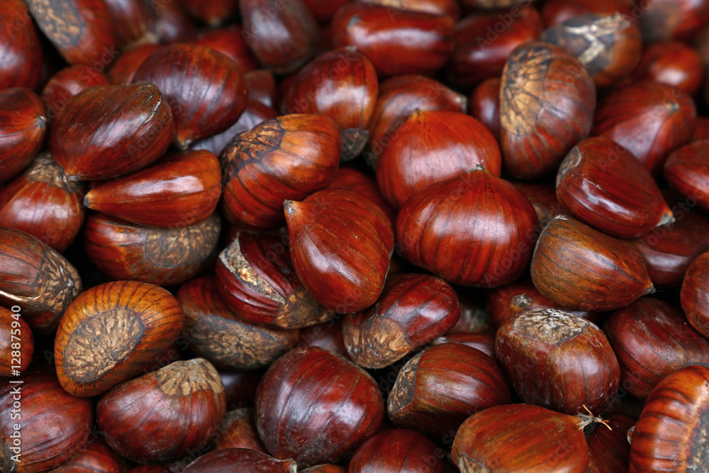 Fresh raw chestnuts (marrons) close up Fresh raw chestnuts (marrons) close up