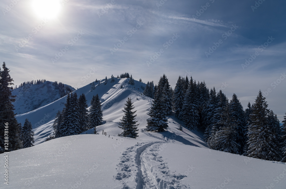 Fototapeta premium Ski touring track in beautiful sunny winter landscape, Oberstdorf, Germany