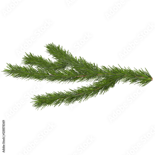 fir tree isolated on white, 3d illustration