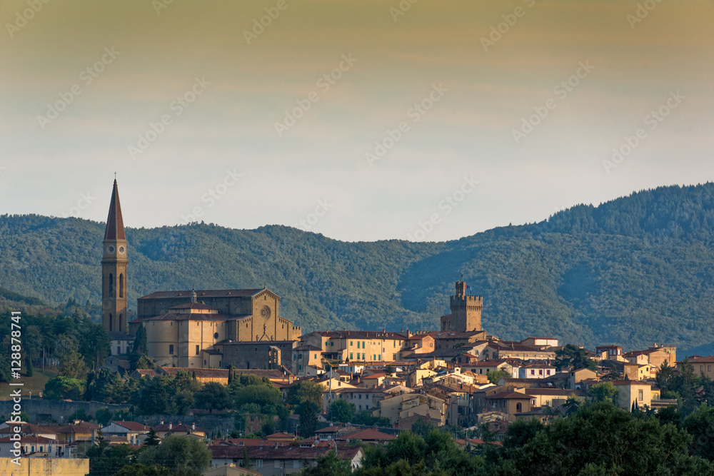 Arezzo skyline