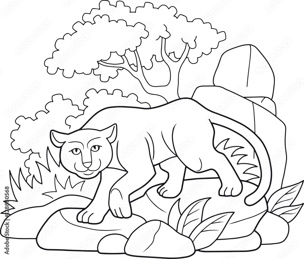 Fototapeta premium panther sneaks in the jungle