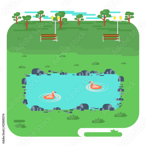 Fototapeta Naklejka Na Ścianę i Meble -  Vector landscape with lake in park. Illustration with Nature scene, bench, trees, pond with ducks. Elements for infographics in modern flat style.  