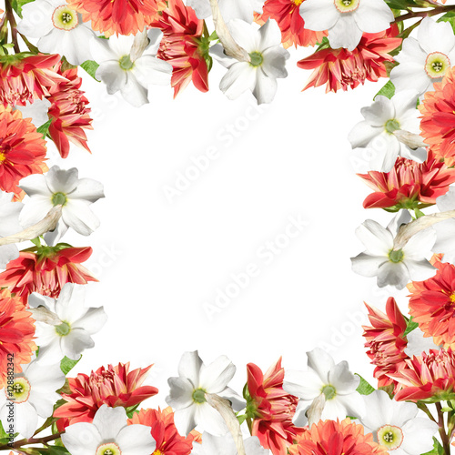Beautiful floral pattern of daffodils and dahlias 