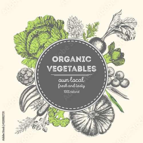 Design template for vegetables market. Menu label with organic food. Fresh vegetables hand-drawn. Vector illustration.