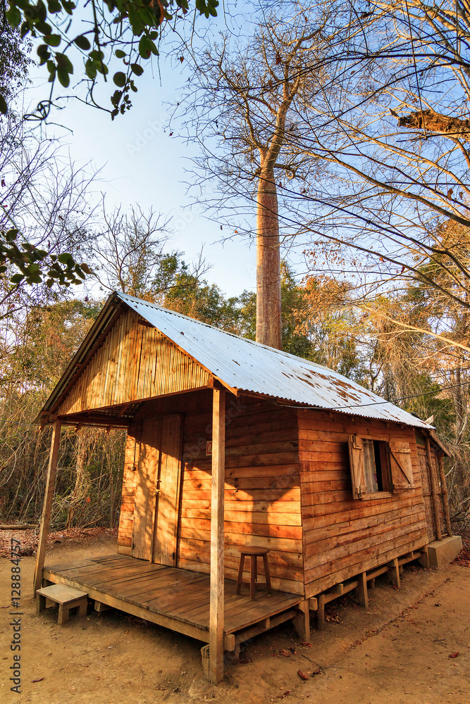Cabin in the dry forest of Kirindy Mitea National Park, in Madagascar Cabin in the dry forest of Kirindy Mitea National Park, in Madagascar
