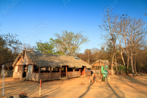 Campsite in the dry forest of Kirindy Mitea National Park in Madagascar photo