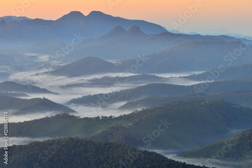 Light sea of mist mountain fores