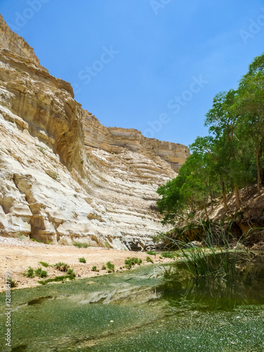 The Nahal Zin, En Akev in Negev Desert, Israel