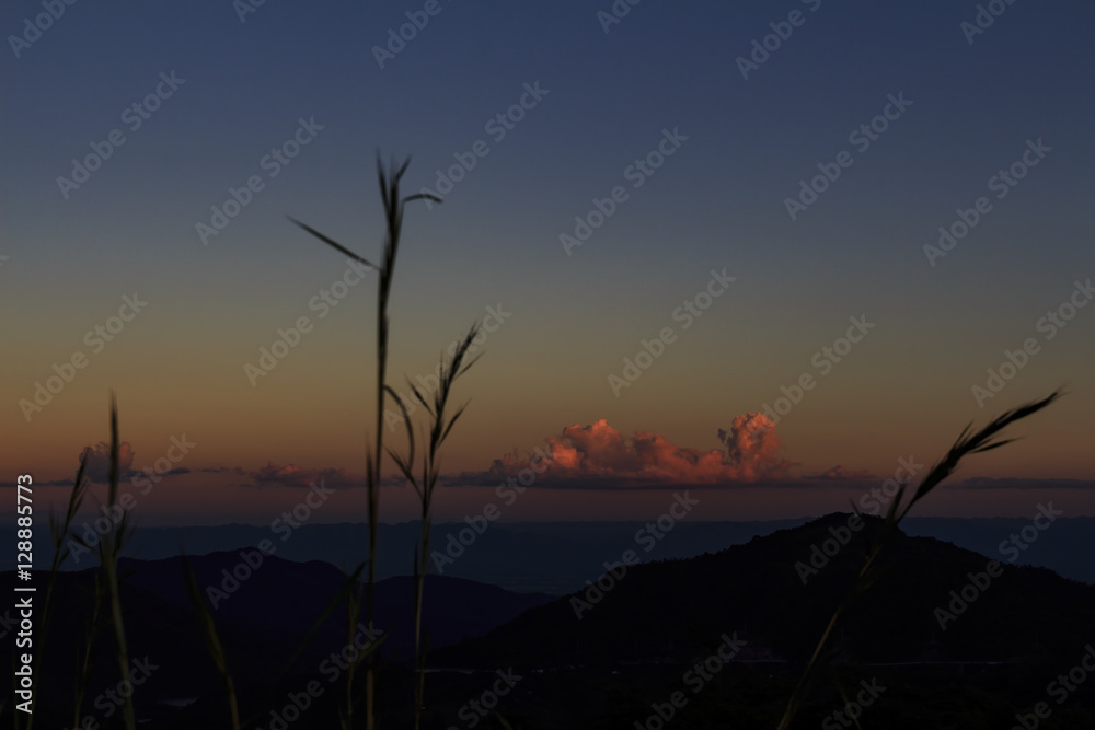 Fototapeta premium The red cloud in sunset.