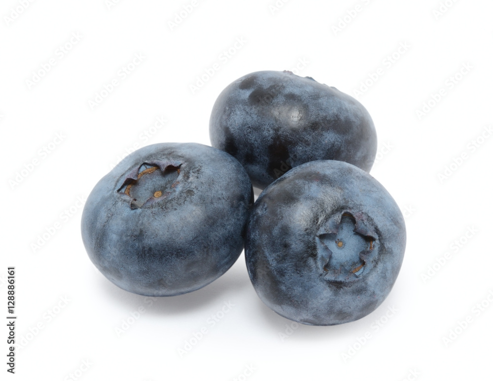 Blueberry isolated on white background Blueberry isolated on white background