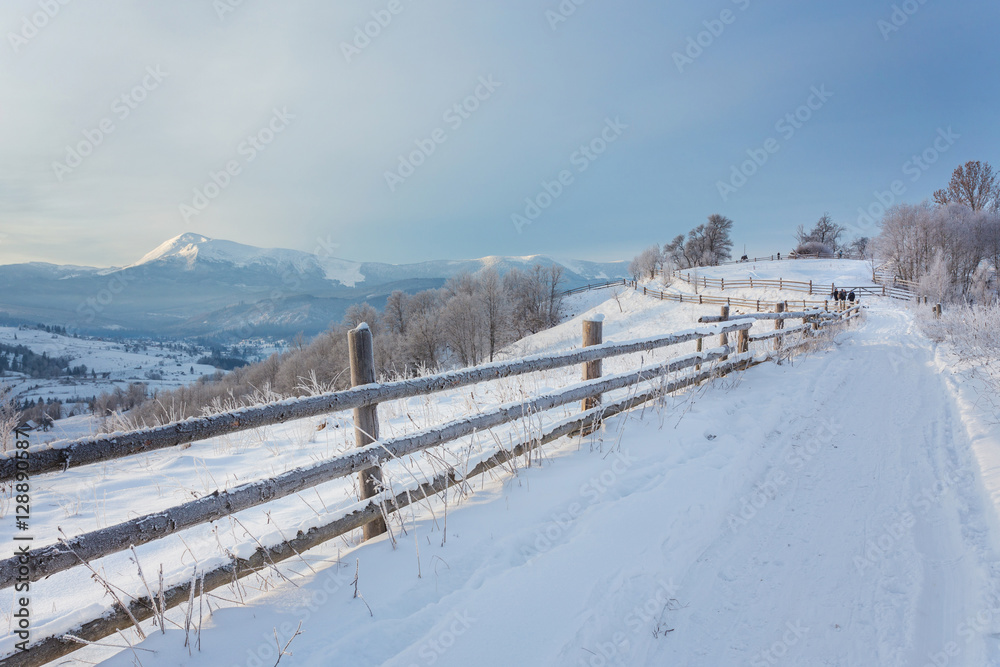 Winter country landscape with timber fence and snowy road into evergreen forest Winter country landscape with timber fence and snowy road into evergreen forest