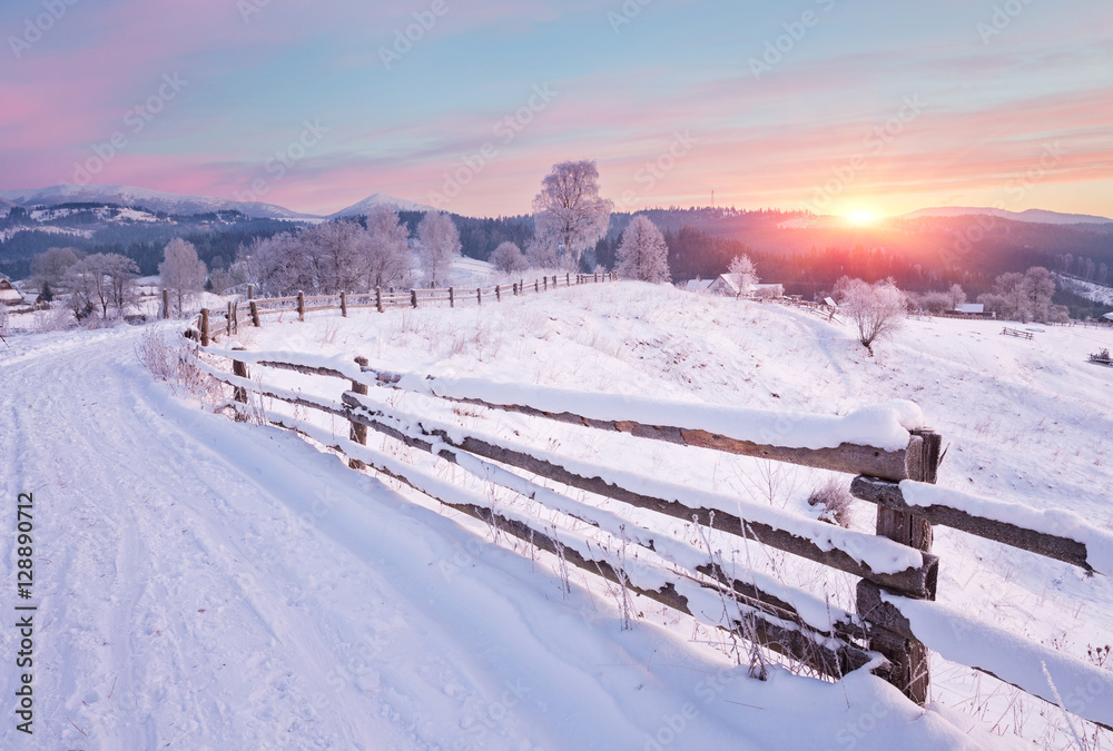 Winter country landscape with timber fence and snowy road into evergreen forest