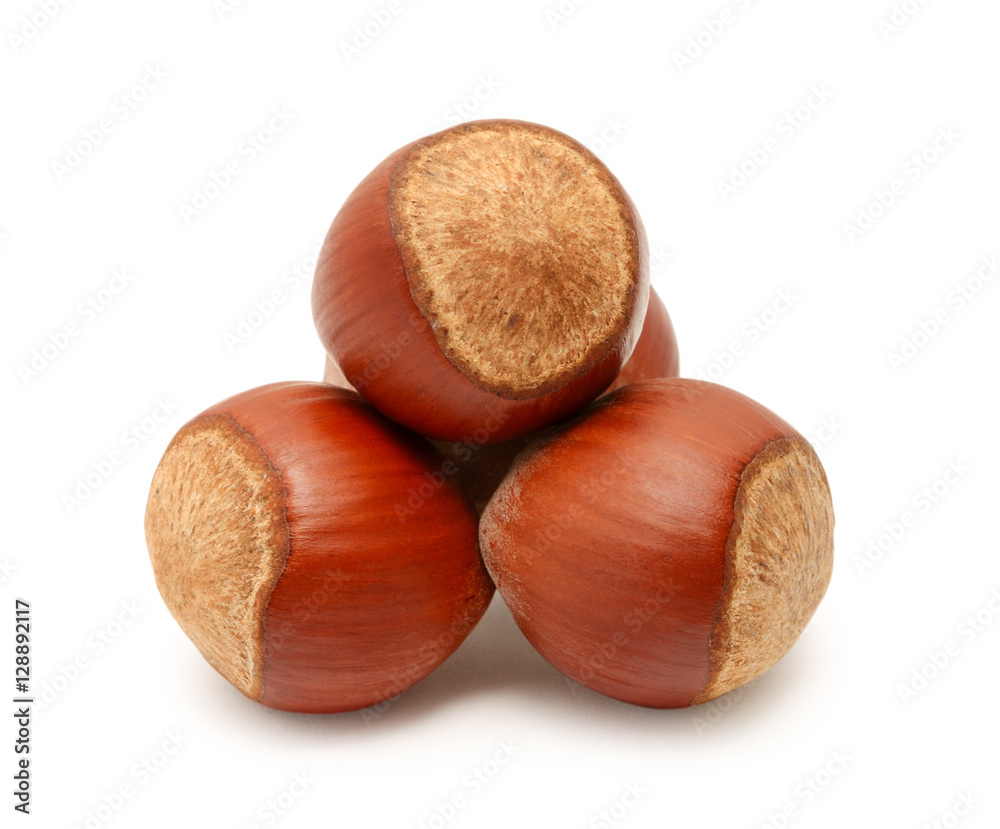 Hazelnut isolated on white background Hazelnut isolated on white background