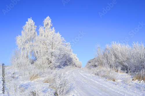 Beautiful winter landscape. Trees covered with snow, road and cl