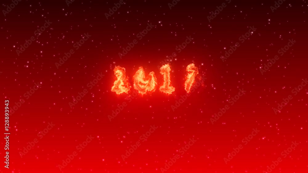 HAPPY NEW YEAR, ROOSTER! Chinese New Year of the Rooster. HAPPY NEW YEAR, ROOSTER! Chinese New Year of the Rooster.