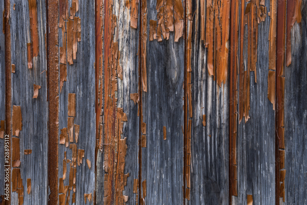 Old orange to brown paint peeling from a grey wooden wall. Contrast full background.