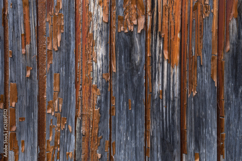 Old orange to brown paint peeling from a grey wooden wall. Contrast full background.