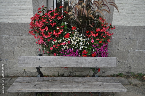Fleurs en bac