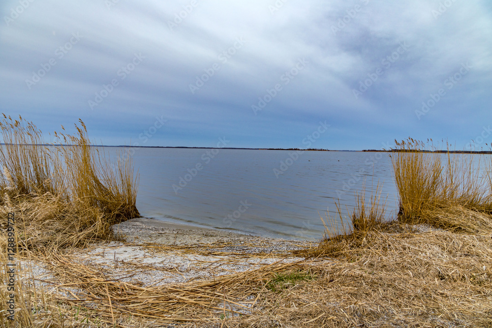 backwater landscape at the island of Usedom
