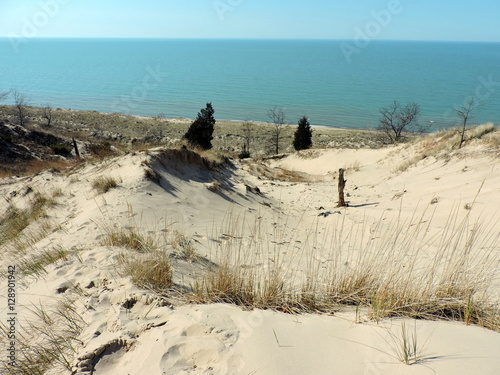 Indiana Dunes II photo