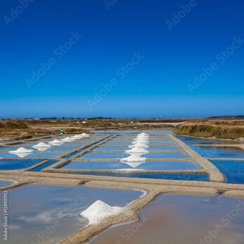 Guerande - Salt Marsh photo