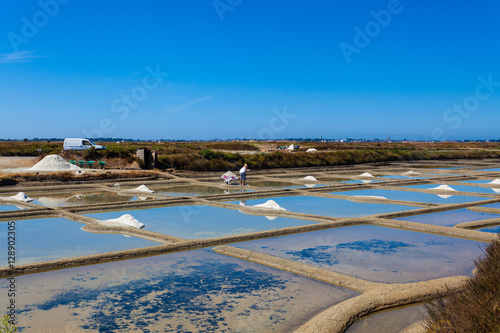 Photos Guerande - Salt Marsh