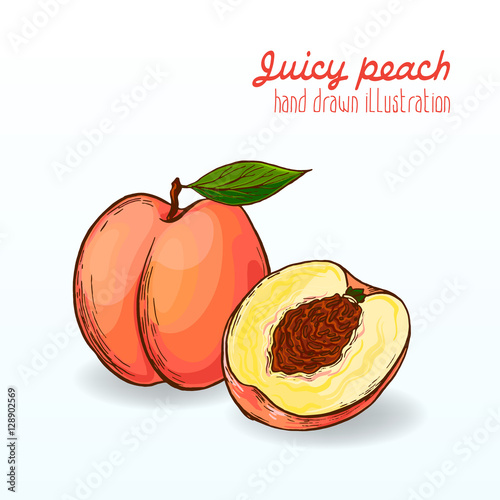 Colorful vector illustration of ripe and tasty fruit.