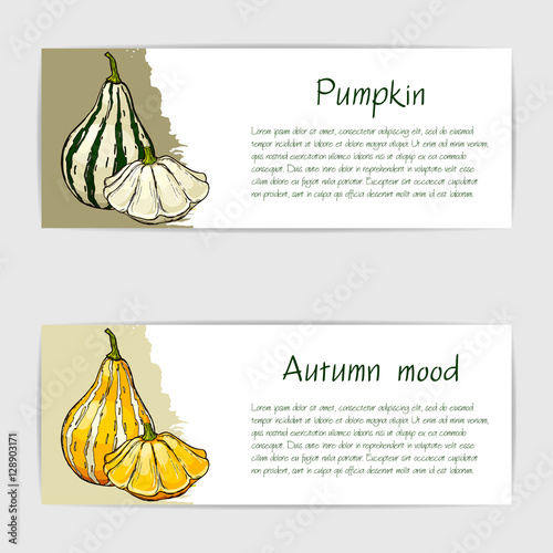 Vector card with cute hand drawn illustration of pumpkin.