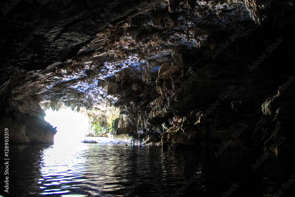 The Cave The Cave
