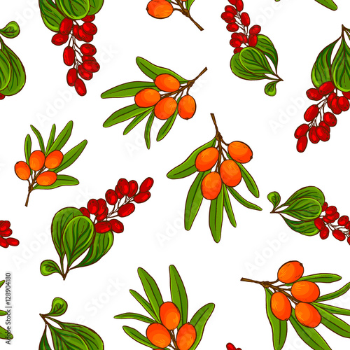 Colorful hand drawn vector berry seamless pattern.