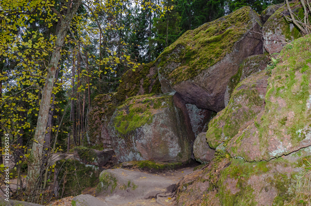 A huge boulder blocked the forest path