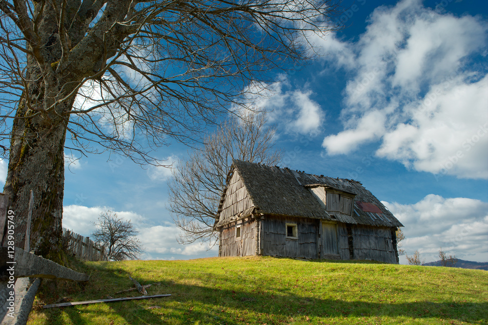 old house and tree old house and tree