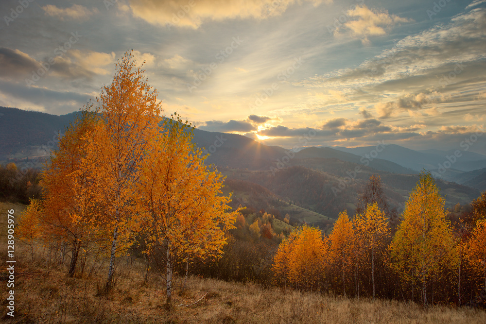 Autumn in the Carpathian mountains Autumn in the Carpathian mountains